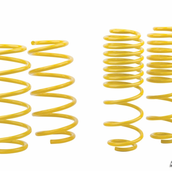 mountune Sport Spring Set 2014-2015 Fiesta ST