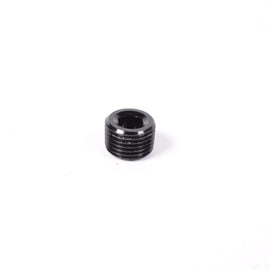 Radium Engineering 1/8in NPT Plug