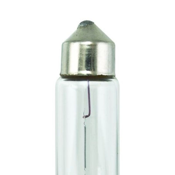 Hella Universal Clear 12V 10W 10x41mm T3.25 Bulb