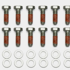 Wilwood Bolt Kit - 5/16-18 x 1.00 LG - 12 pk