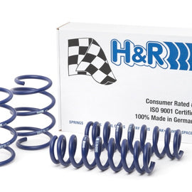 H&R 13-16 BMW 328i xDrive Gran Turismo/335i xDrive Gran Turismo (AWD) F34 Sport Spring