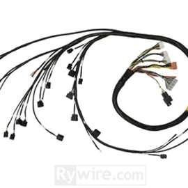 Rywire 02-04 K-Series RWD Mil-Spec Eng Harn w/02-04 Wiring/K-Pro/S2K Tran/K-Ser TB/Int (Adapter Req)