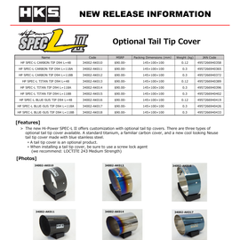 HKS Hi-Power SPEC-L Tail Tip Cover - Carbon