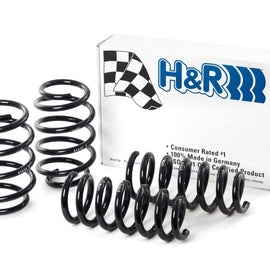 H&R 09-19 Ford Flex (2WD/AWD) Sport Spring