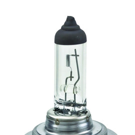 Hella Halogen H7 Bulb