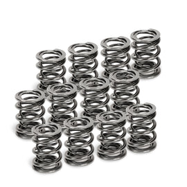 Supertech VW VR6 Dual Valve Spring - Set of 12